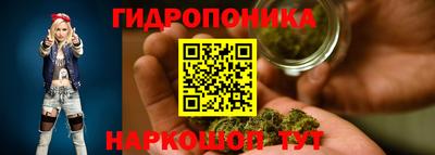 твердый Новодвинск