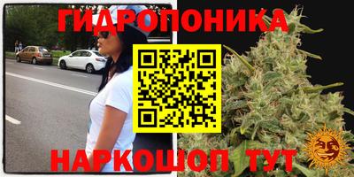 твердый Новодвинск