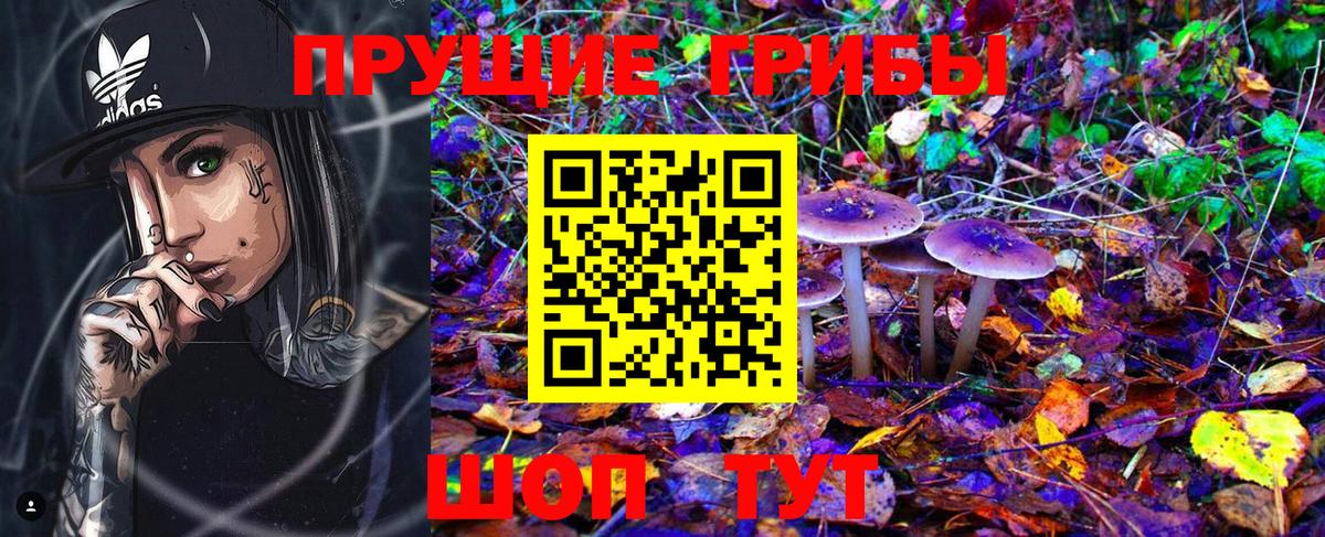 Псилоцибиновые грибы прущие грибы Тихорецк
