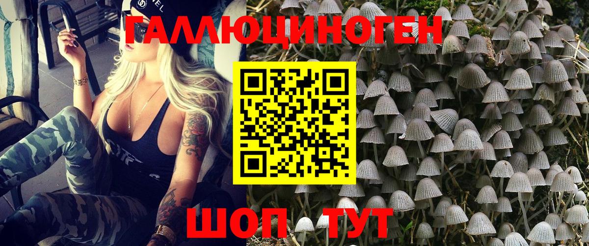 Псилоцибиновые грибы Magic Shrooms  Галлюциногенные грибы ЛСД  магазин продажи   Вход с VPN  Тихорецк 